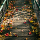 Illustration for article titled 48 Photos Of Autumn Around The World